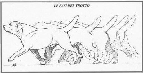 f58959aa8ba0d50694f0def447193d7abb52b92c