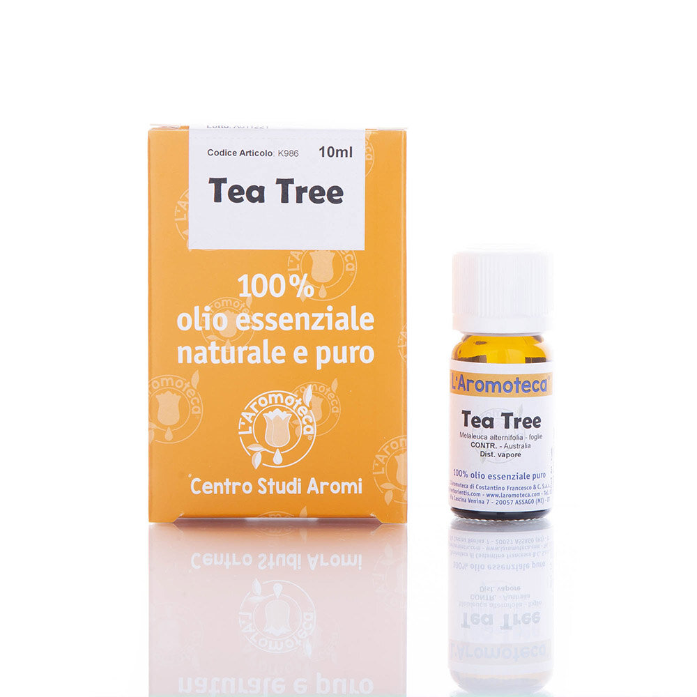 TEA TREE TEA TREE