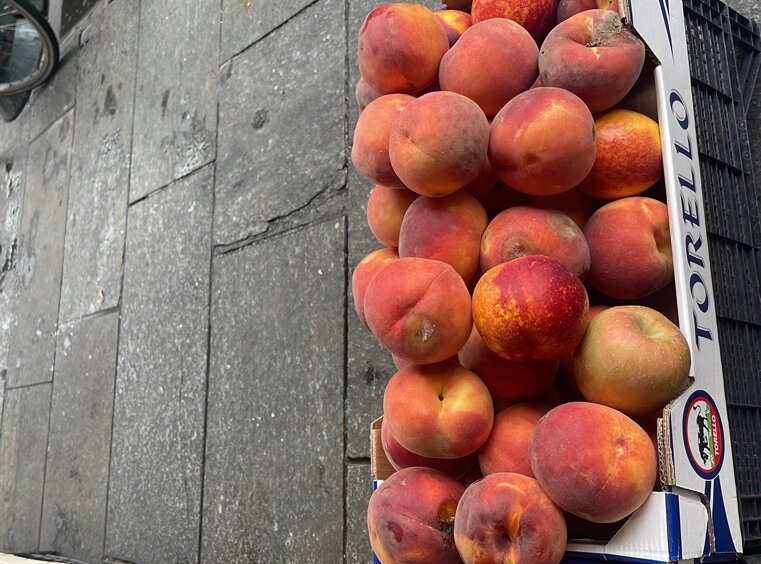 whatsapp image 2025-12-30 at 11.57.48.jpeg