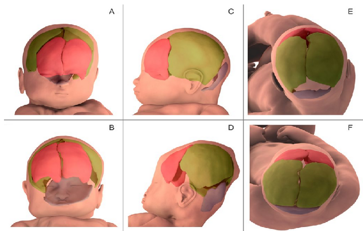 06b791dc8abfc31d579f6ab4f501eb7a59296ff6