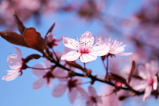 81ae8cfd7c23b7bcc2fdc133c519faa8a0e54076