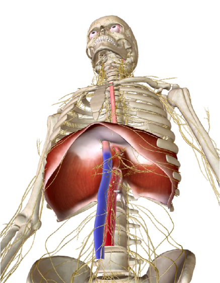 b8df2b5869aeaa861e48a8e9e49318397b976bdf