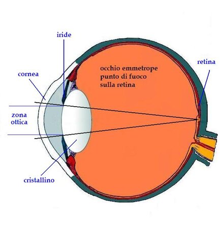 039359f202d53811752464bf28f36b7af38aff01
