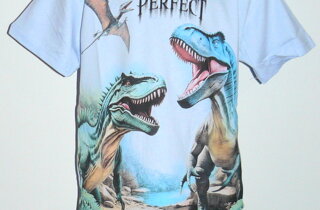 p1280378.jpeg p1280378.jpeg