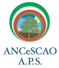 025bb44f2f1d9f478b72435335cca21dfab94faf