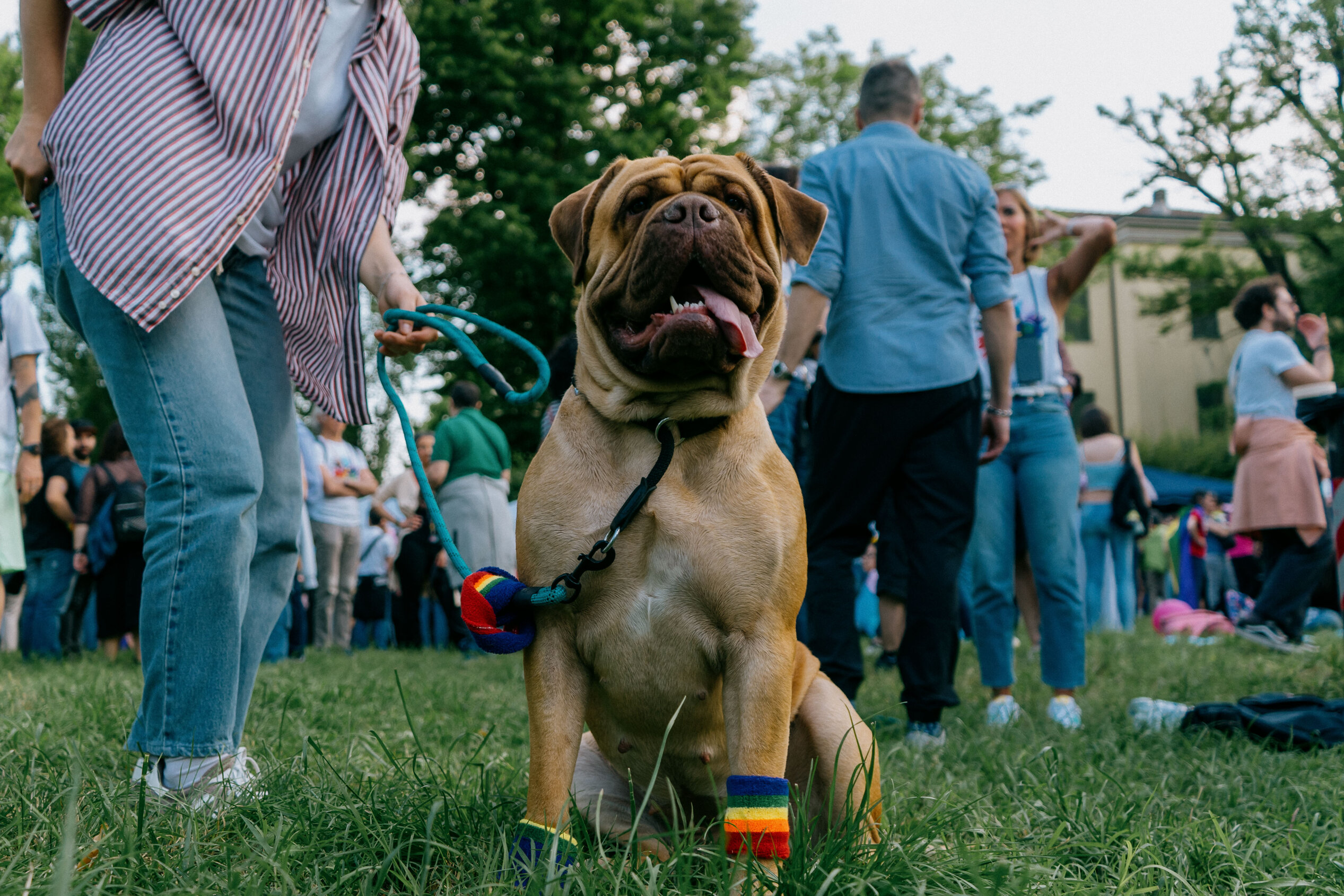 e7996f532c113283a965f2570169337b0eb2ea4a