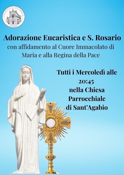 whatsapp image 2026-03-16 at 12.04.13.jpeg