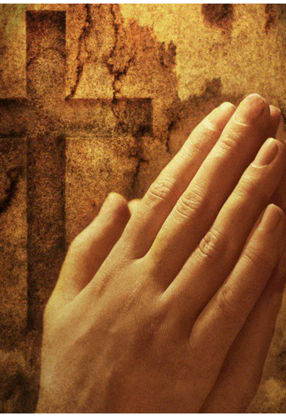 038b012a-43ee-4bab-8532-8435a5ce1d5b