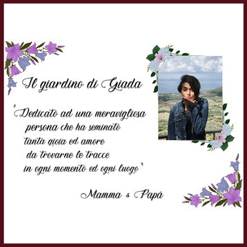 60db1833-43dd-49a6-a98f-e46912a317cc