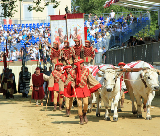 11c0e7d0-43ea-4aa4-919b-08f4ce72f4e7