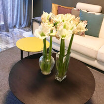 Realizzazione Progetto di Home Relooking Dettaglio nuovi tavolini e accessori colorati
