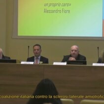 Senato della Repubblica Minuti, Rubbettino, Fiore, Stefani