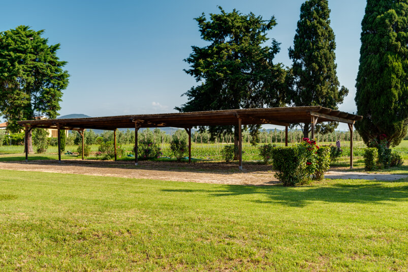 _dsc7115e.jpeg _dsc7115e.jpeg