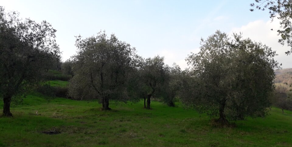 752f745a-adc7-4e4f-ae47-82466aea4509 752f745a-adc7-4e4f-ae47-82466aea4509