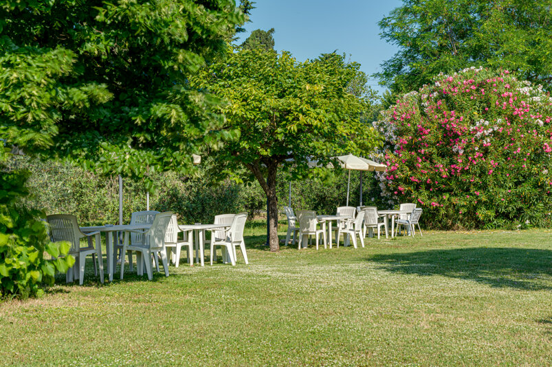_dsc7050e.jpeg _dsc7050e.jpeg