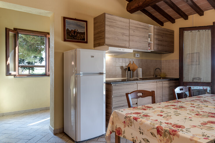 _dsc7145e.jpeg _dsc7145e.jpeg