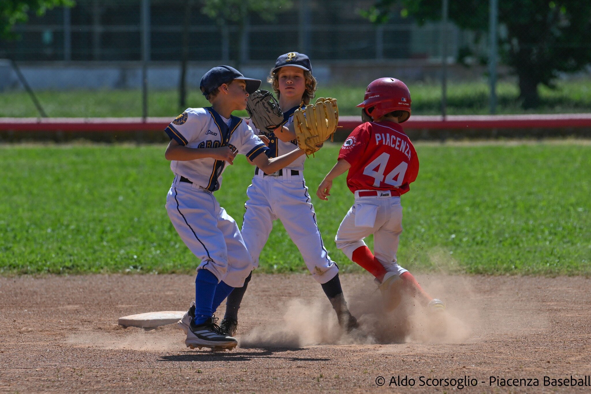 Giovanili baseball al giro di boa. Bene le piacentine Giovanili baseball al giro di boa. Bene le piacentine