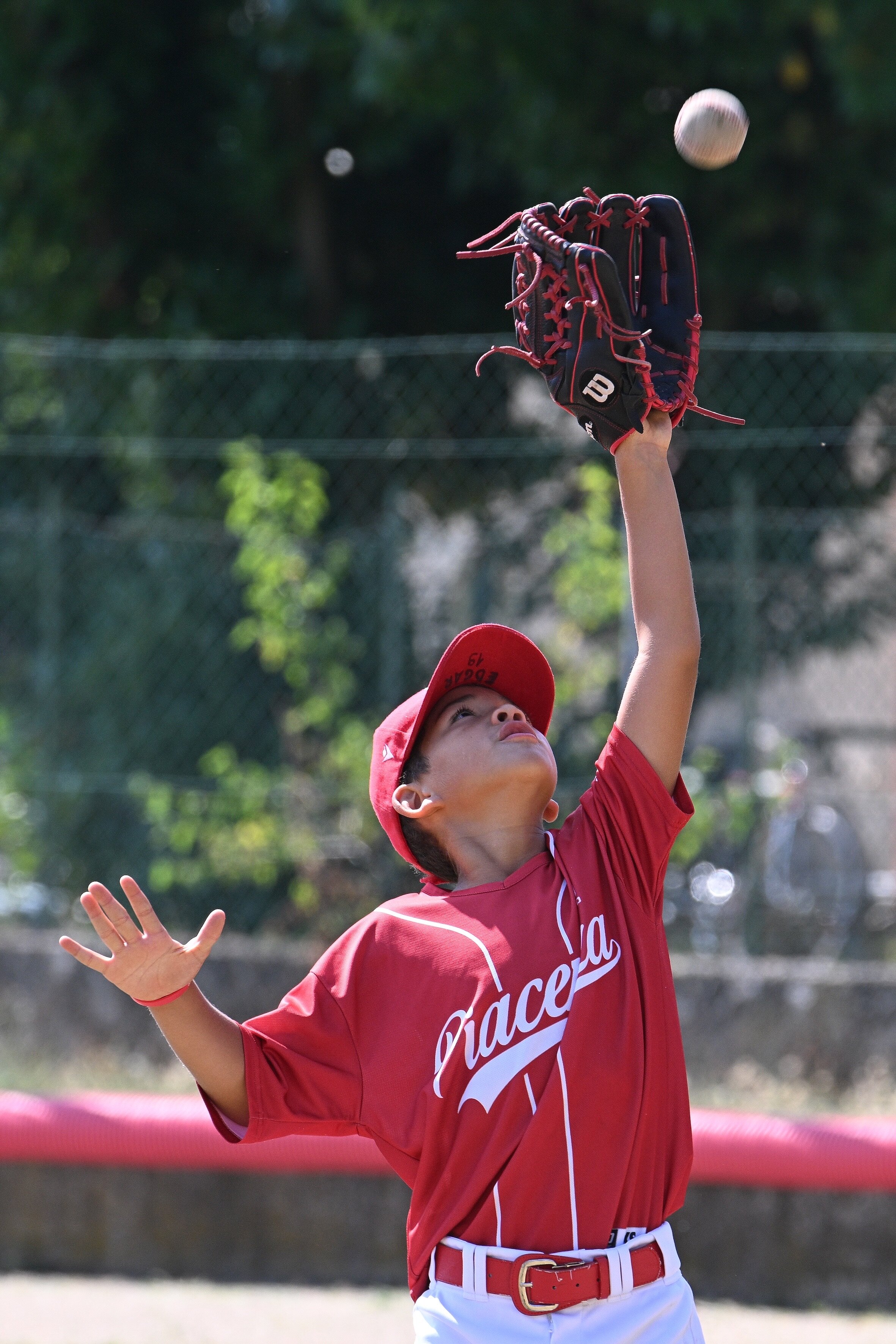 Il baseball giovanile ai blocchi di partenza