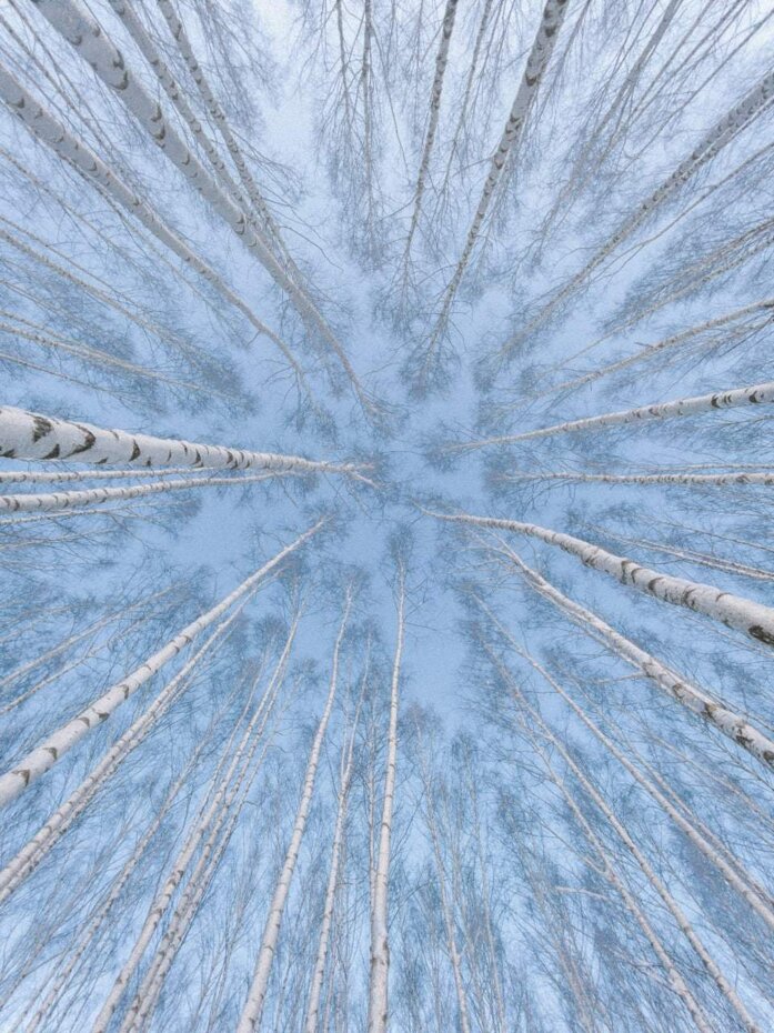 1e6ddc581d36f361174563a7ab22a083955dfee6.jpeg