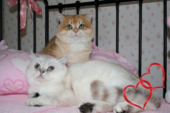 b648ce61-c9f6-4198-a048-12fa55b976bf.jpeg b648ce61-c9f6-4198-a048-12fa55b976bf.jpeg