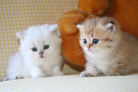 84f284fc-275e-4237-81aa-166fd5ccde03.jpeg 84f284fc-275e-4237-81aa-166fd5ccde03.jpeg