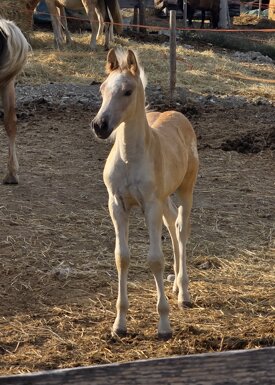 20250730_182834.jpeg 20250730_182834.jpeg