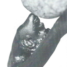 Mitologia dell'uomo ... attinge vita alla mammella della madre terra Mitologia dell'uomo ... attinge vita alla mammella della madre terra