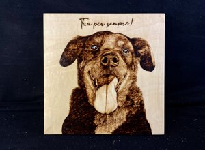 img_5533.jpeg img_5533.jpeg