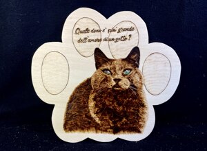 img_9646.jpeg img_9646.jpeg