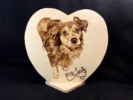 fdbb290cf50dc5428c97d66cb150a14e45c7bf9d