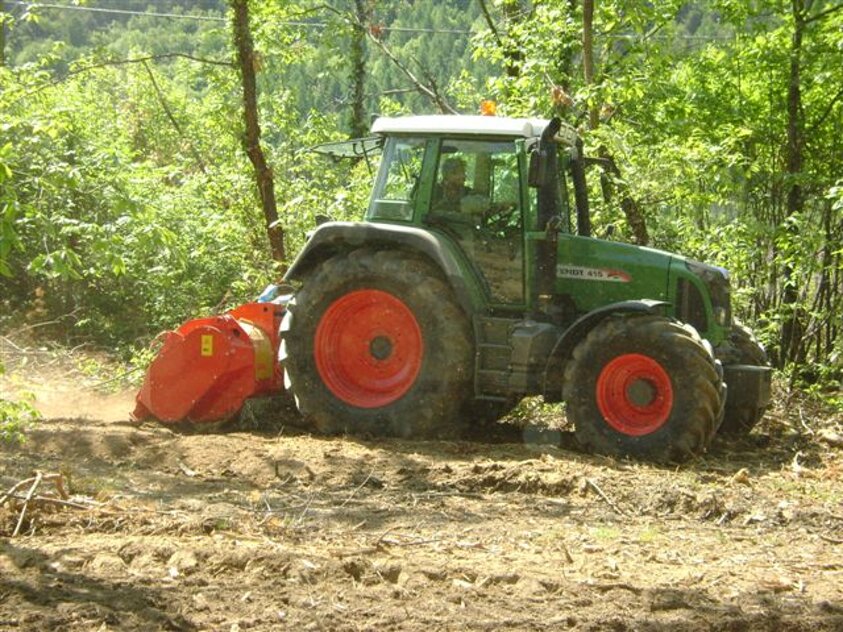 Manutenzione verde