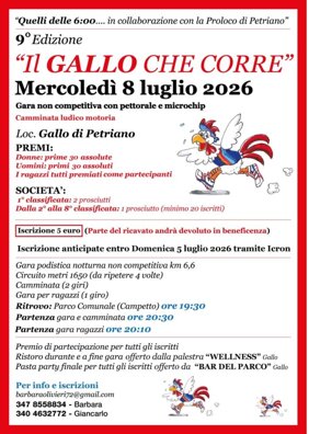 il gallo che corre.jpeg