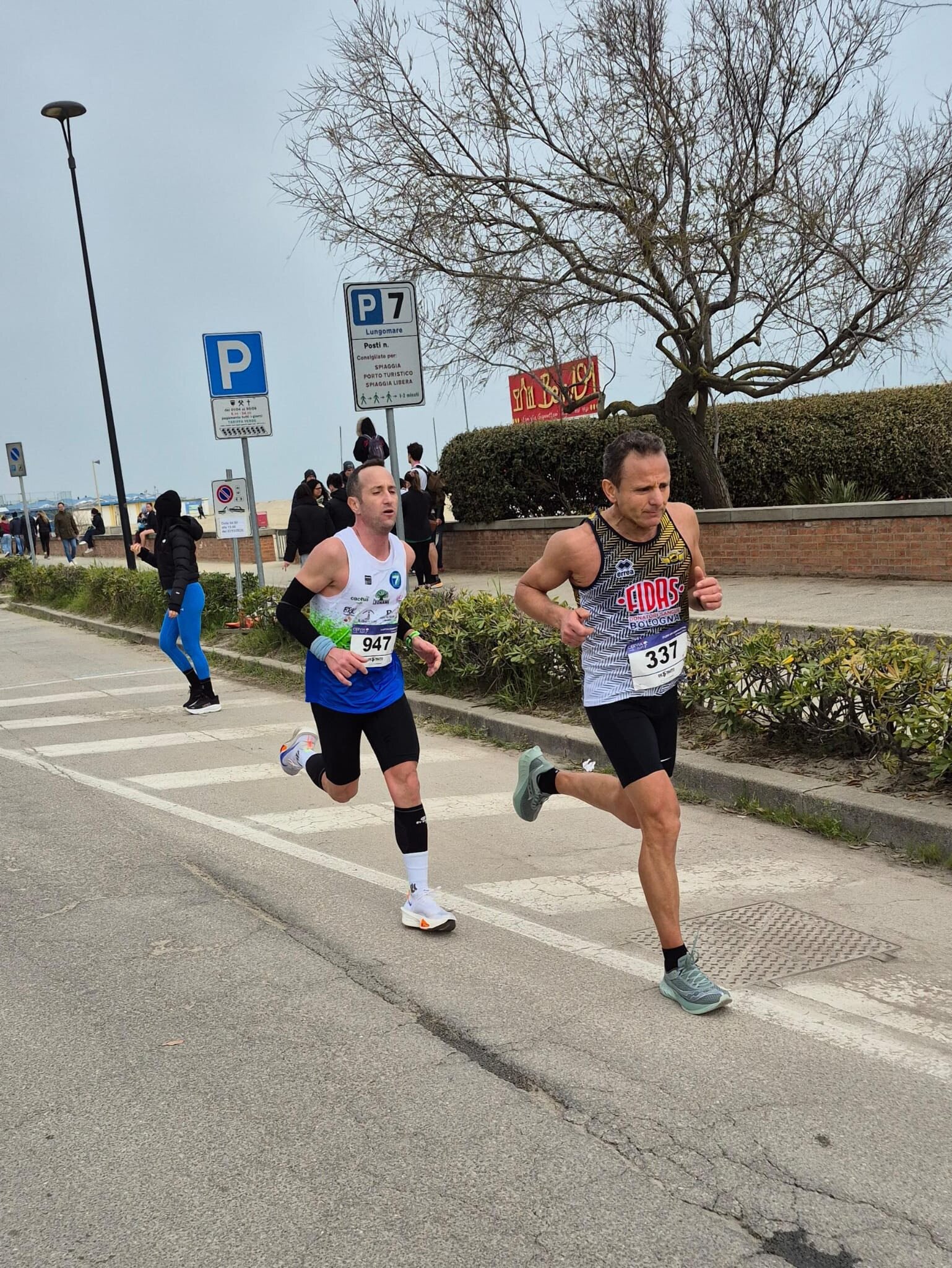 654703536_1444790500777735_413752158715038620_n.jpeg 654703536_1444790500777735_413752158715038620_n.jpeg