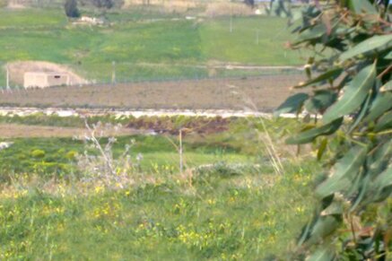 6bdfb155d776e8c5c6ca909e6b403517981e3f53