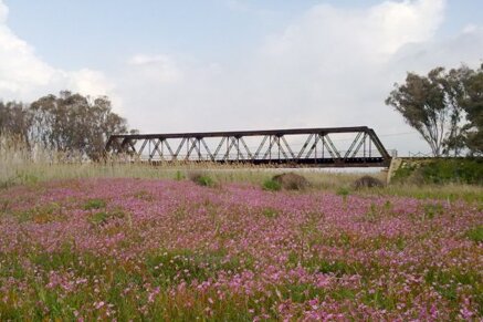 751da3a677f9cc205bbadd8d09845f2550213168