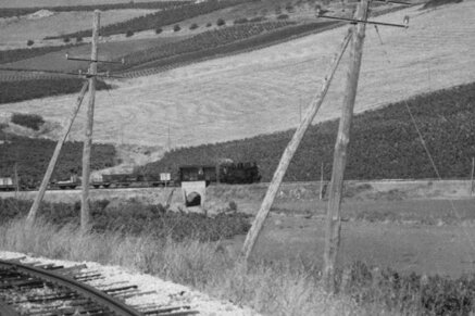 ca4e73fb55d312911da2e919c779898cd9b9b9da