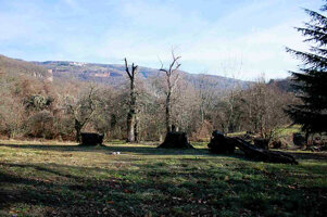 3205e54c-c78e-422e-8d82-20964588ff60