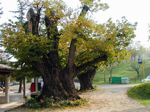 bafc47e1-1e5d-487b-aa97-382727e50251