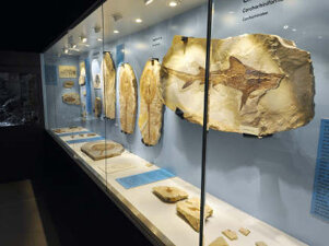 6ebfcf0f-fe64-4479-90d4-44166e0fadf0