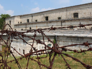 ba2b0c7d-2e3e-4050-9725-d42a77e032f9