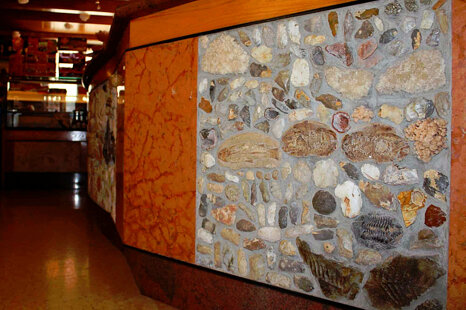 f8f7d33a-443b-4ae0-85da-82c53c6cc98c