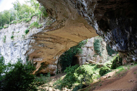 b7e029e3-a263-48fd-9b18-c468478b89cd