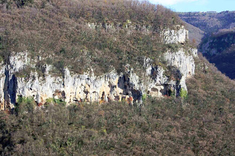 969dde01-8f20-4e18-b1ff-18620514cfab