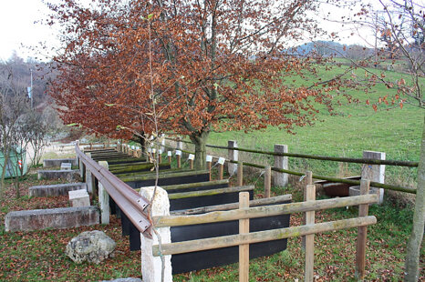 13d6c97f-8be0-4d21-b655-655b102cf5de