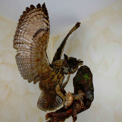 bdc6ebeb-c7fe-4578-acb3-9671cfde828b