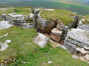 8a333bd6-cea3-4eb1-85f4-46301a6d5fb0