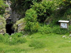 8af9a655-aa61-465e-a357-de41e746d33d