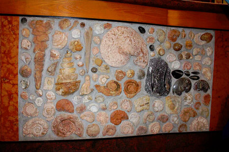 510a5ebd-fa7a-4cdb-aa42-712f33617aed