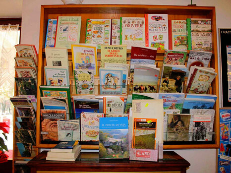 40bc7341-b99c-4739-92c2-376ab02d08d3