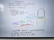 ab1fb5a881396b99c1810fe4dc579b5792ec8704